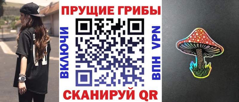 Псилоцибиновые грибы MAGIC MUSHROOMS  наркота  Сретенск 